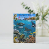 Hanauma Bay Hawaii Briefkaart (Staand voorkant)