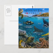 Hanauma Bay Hawaii Briefkaart (Voorkant / Achterkant)