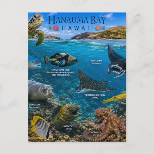 Hanauma Bay Hawaii Briefkaart (Voorkant)