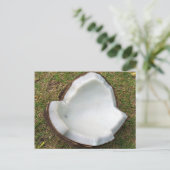Hanauma Bay Hawaii Coconut Briefkaart (Staand voorkant)