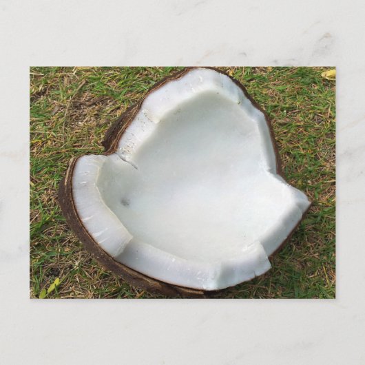 Hanauma Bay Hawaii Coconut Briefkaart (Voorkant)