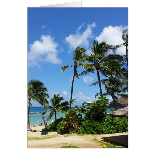 Hanauma Bay Hawaii Coconut Trees (Voorkant)