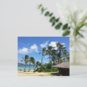 Hanauma Bay Hawaii Coconut Trees Briefkaart (Staand voorkant)