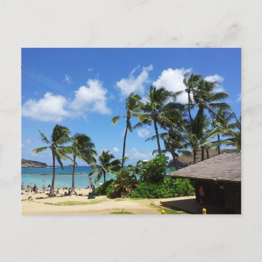 Hanauma Bay Hawaii Coconut Trees Briefkaart (Voorkant)