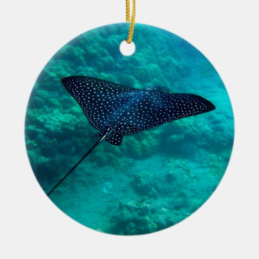 Hanauma Bay Hawaii gepotte Eagle Ray Keramisch Ornament (Voorkant)