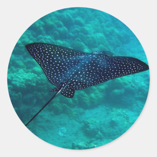 Hanauma Bay Hawaii gepotte Eagle Ray Ronde Sticker (Voorkant)