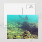 HANAUMA BAY HAWAII - GESpotte Eagle Ray Briefkaart (Voorkant / Achterkant)