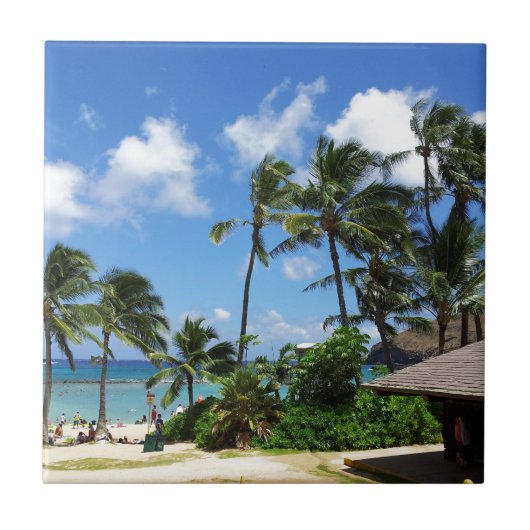 Hanauma Bay Hawaii Kokospalmen Tegeltje (Voorkant)