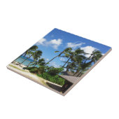 Hanauma Bay Hawaii Kokospalmen Tegeltje (Zijkant)