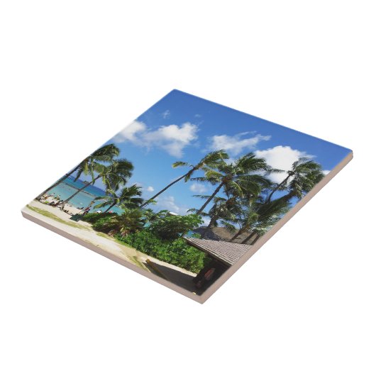 Hanauma Bay Hawaii Kokospalmen Tegeltje (Zijkant)