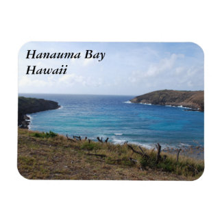 Hanauma Bay, Hawaii magneet