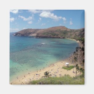 Hanauma Bay Hawaii Magneet