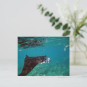 Hanauma Bay Hawaii Manta Ray Briefkaart (Staand voorkant)