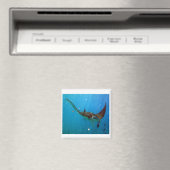 Hanauma Bay Hawaii Manta Ray Magneet (Insitu (Vaatwasser))