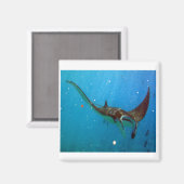 Hanauma Bay Hawaii Manta Ray Magneet (Voorkant / Achterkant)