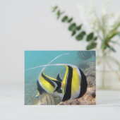 Hanauma Bay Hawaii Moorish Idol Briefkaart (Staand voorkant)