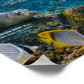 Hanauma Bay Hawaii Poster (Hoek)
