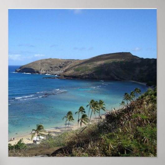 Hanauma Bay hawaii Poster (Voorkant)