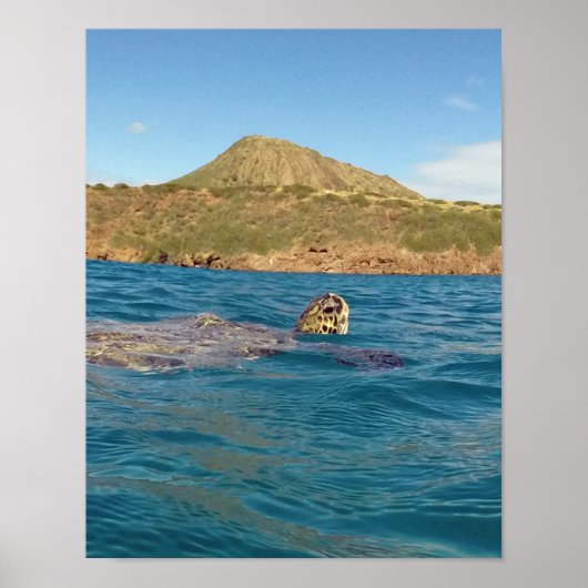 Hanauma Bay Hawaii Poster (Voorkant)
