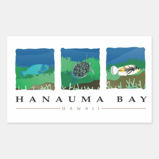 Hanauma Bay Hawaii Rechthoekige Sticker (Voorkant)