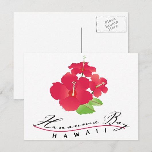 Hanauma Bay Hawaii - Red Hibiscus Flower Briefkaart (Voorkant / Achterkant)