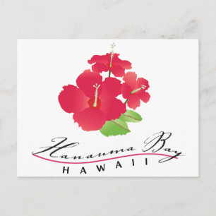 Hanauma Bay Hawaii - Red Hibiscus Flower Briefkaart
