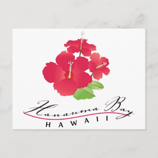 Hanauma Bay Hawaii - Red Hibiscus Flower Briefkaart (Voorkant)