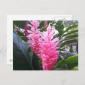 HANAUMA BAY HAWAII - Rood gemberventiel Briefkaart (Voorkant / Achterkant)