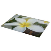 Hanauma Bay Hawaii Snijplank (Hoek)