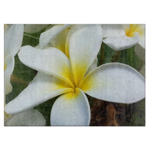 Hanauma Bay Hawaii Snijplank (Voorkant)