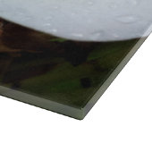 Hanauma Bay Hawaii Snijplank (Hoek)