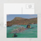 Hanauma Bay Hawaii Turtle Briefkaart (Voorkant / Achterkant)