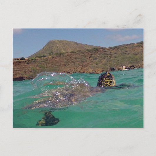 Hanauma Bay Hawaii Turtle Briefkaart (Voorkant)