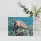 Hanauma Bay Hawaii Turtle Briefkaart (Staand voorkant)