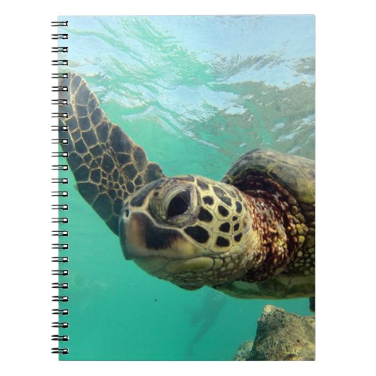 Hanauma Bay Hawaii Turtle Notitieboek (Voorkant)