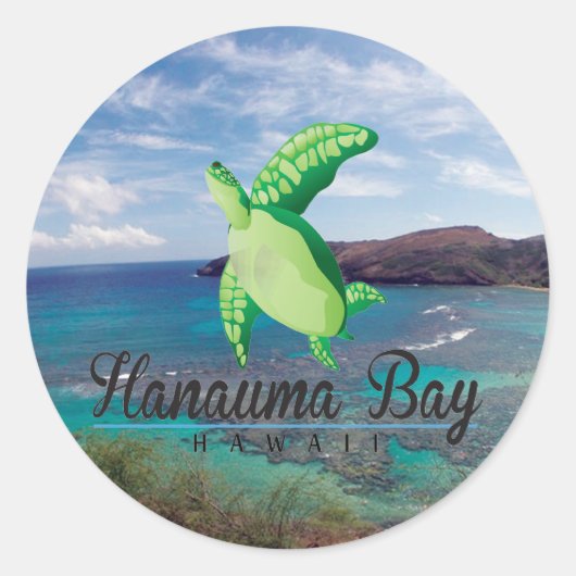 Hanauma Bay Hawaii Turtle Ronde Sticker (Voorkant)