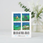 Hanauma Bay Hawaii - Vacatie 2014 Briefkaart (Staand voorkant)