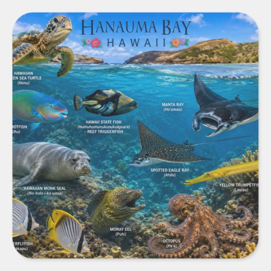 Hanauma Bay Hawaii Vierkante Sticker (Voorkant)