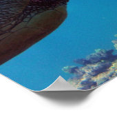 Hanauma Bay Hawaii Zee Turtle Poster (Hoek)