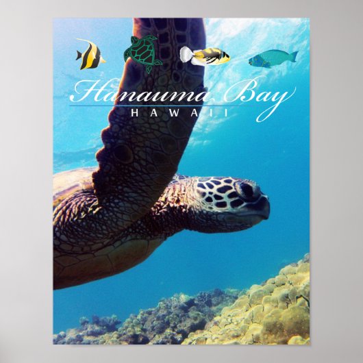 Hanauma Bay Hawaii Zee Turtle Poster (Voorkant)