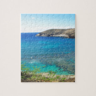 Hanauma Bay Oahu Hawaii Legpuzzel