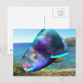 Hanauma Bay Oahu Hawaii Parrot Fish Briefkaart (Voorkant / Achterkant)