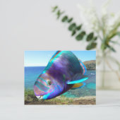 Hanauma Bay Oahu Hawaii Parrot Fish Briefkaart (Staand voorkant)
