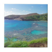 Hanauma Bay Oahu Hawaii Tegeltje (Voorkant)