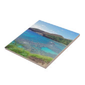 Hanauma Bay Oahu Hawaii Tegeltje (Zijkant)