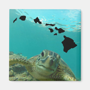 Hanauma Bay Oahu Hawaii Turtle Magneet