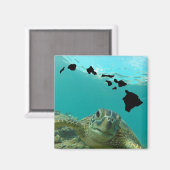 Hanauma Bay Oahu Hawaii Turtle Magneet (Voorkant / Achterkant)