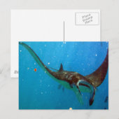 Hanauma Bay Oahu Manta Ray Briefkaart (Voorkant / Achterkant)