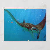 Hanauma Bay Oahu Manta Ray Briefkaart (Voorkant)