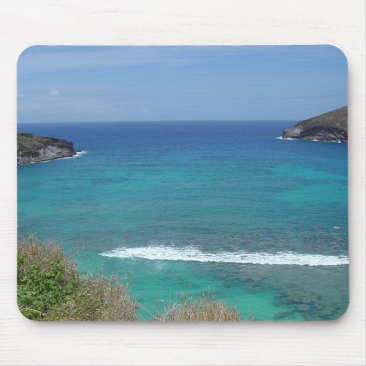 Hanauma Bay, Oahu Muismat (Voorkant)